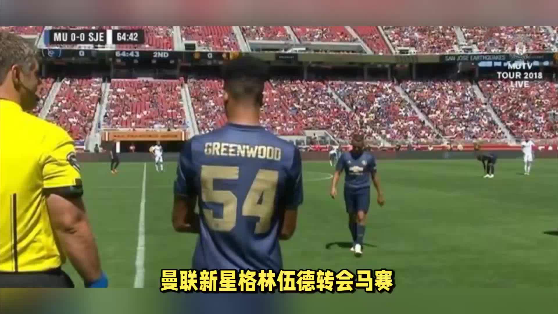 理想的